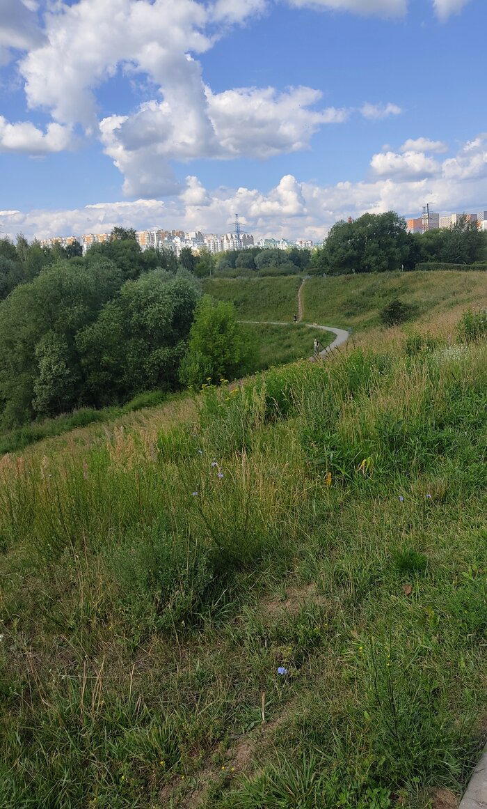 Митинский ландшафтный парк