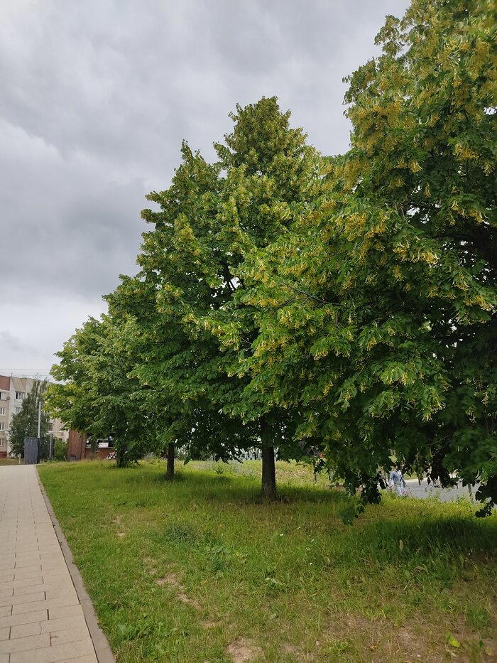 Митинский ландшафтный парк