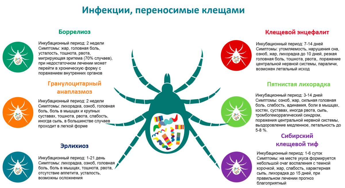 ОРВИ или?