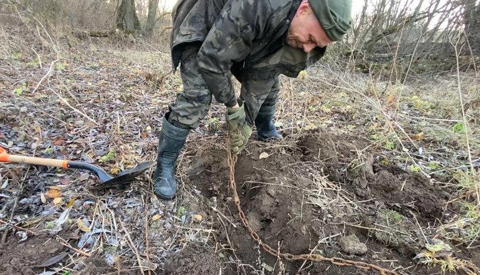 Старинная цепь уходила глубоко в землю То что откопал - озадачило