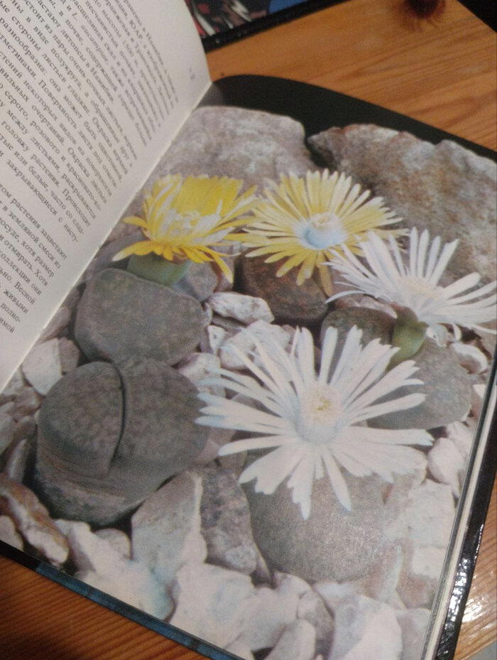 Заметки из книг
