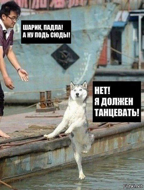 Танцуют Все!
