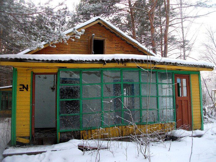 Пионерский лагерь «Незабудка» 2012 год