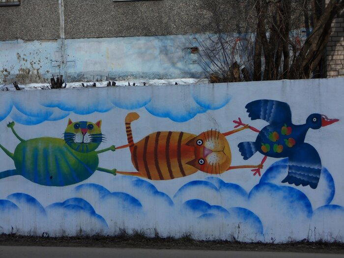 Котики из Череповца