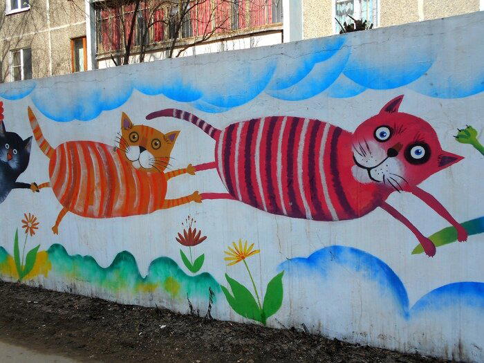 Котики из Череповца