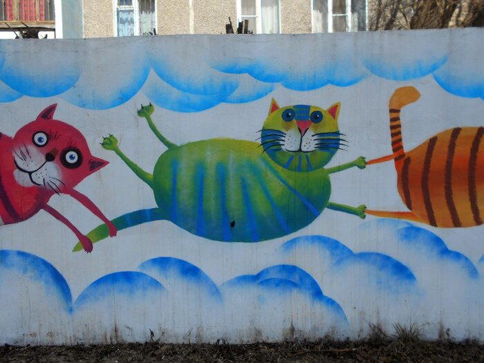 Котики из Череповца