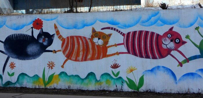 Котики из Череповца