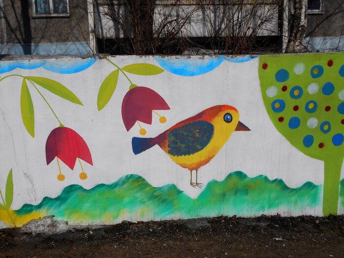 Котики из Череповца