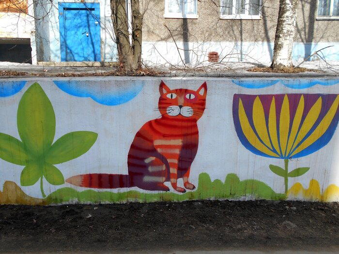 Котики из Череповца