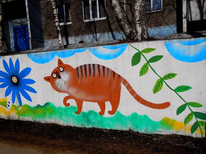 Котики из Череповца
