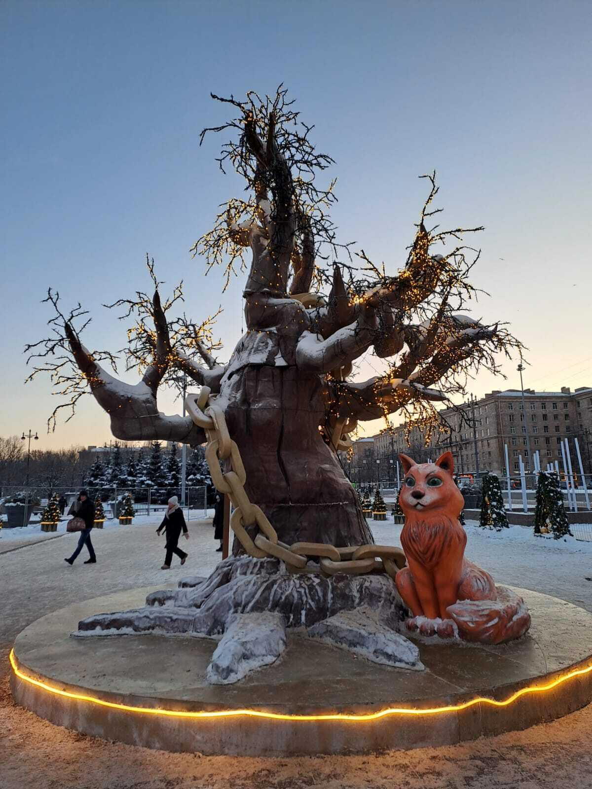 Кот учёный