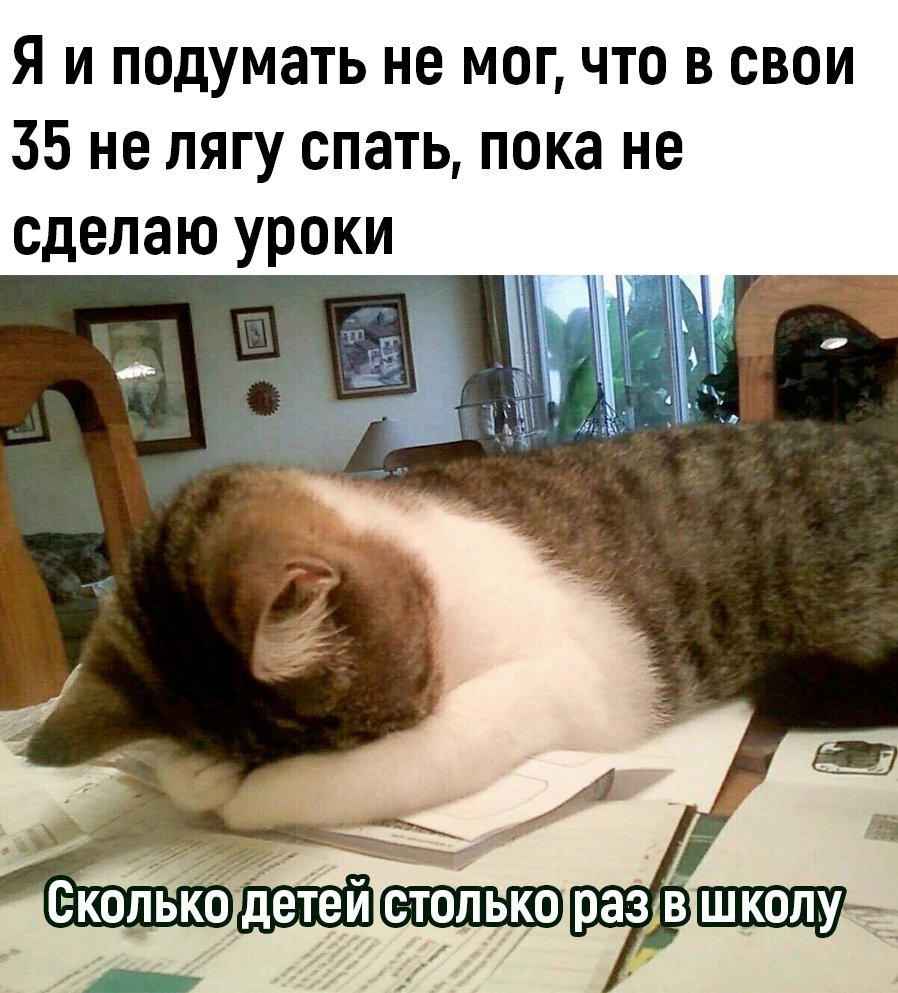 Есть же в этом доля правды..