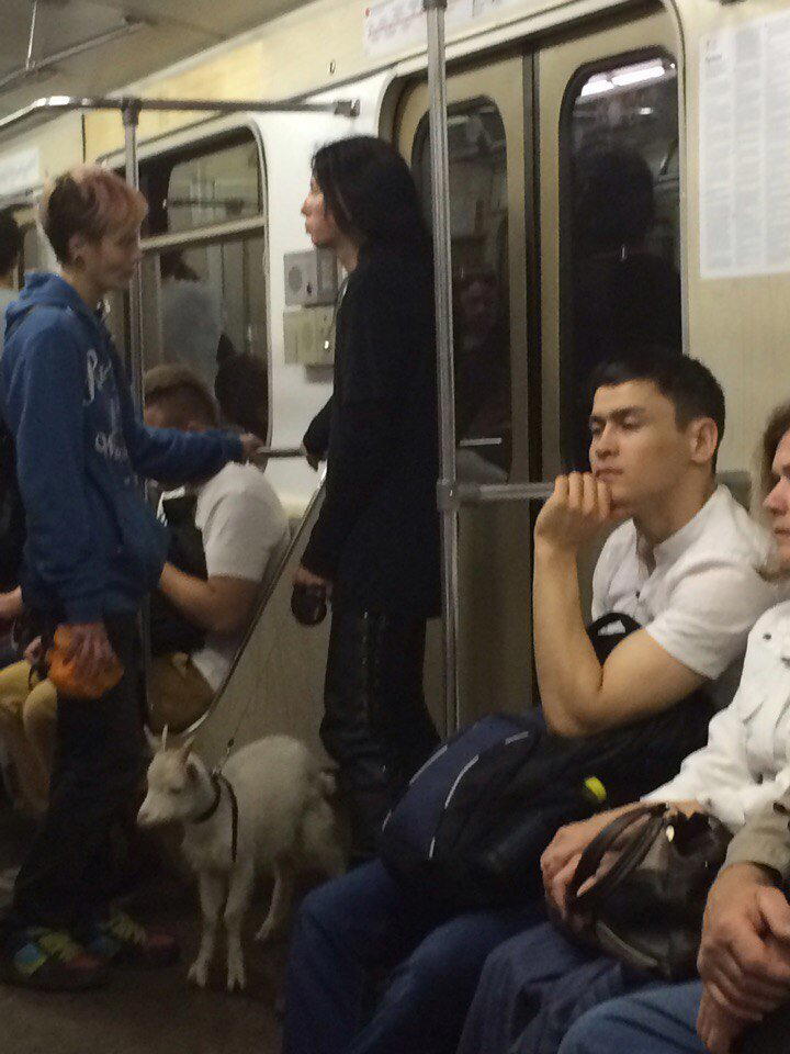 А почему бы и нет?