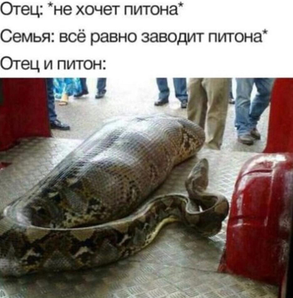 Это будет великая дружба, длинной в пищеварительный тракт..