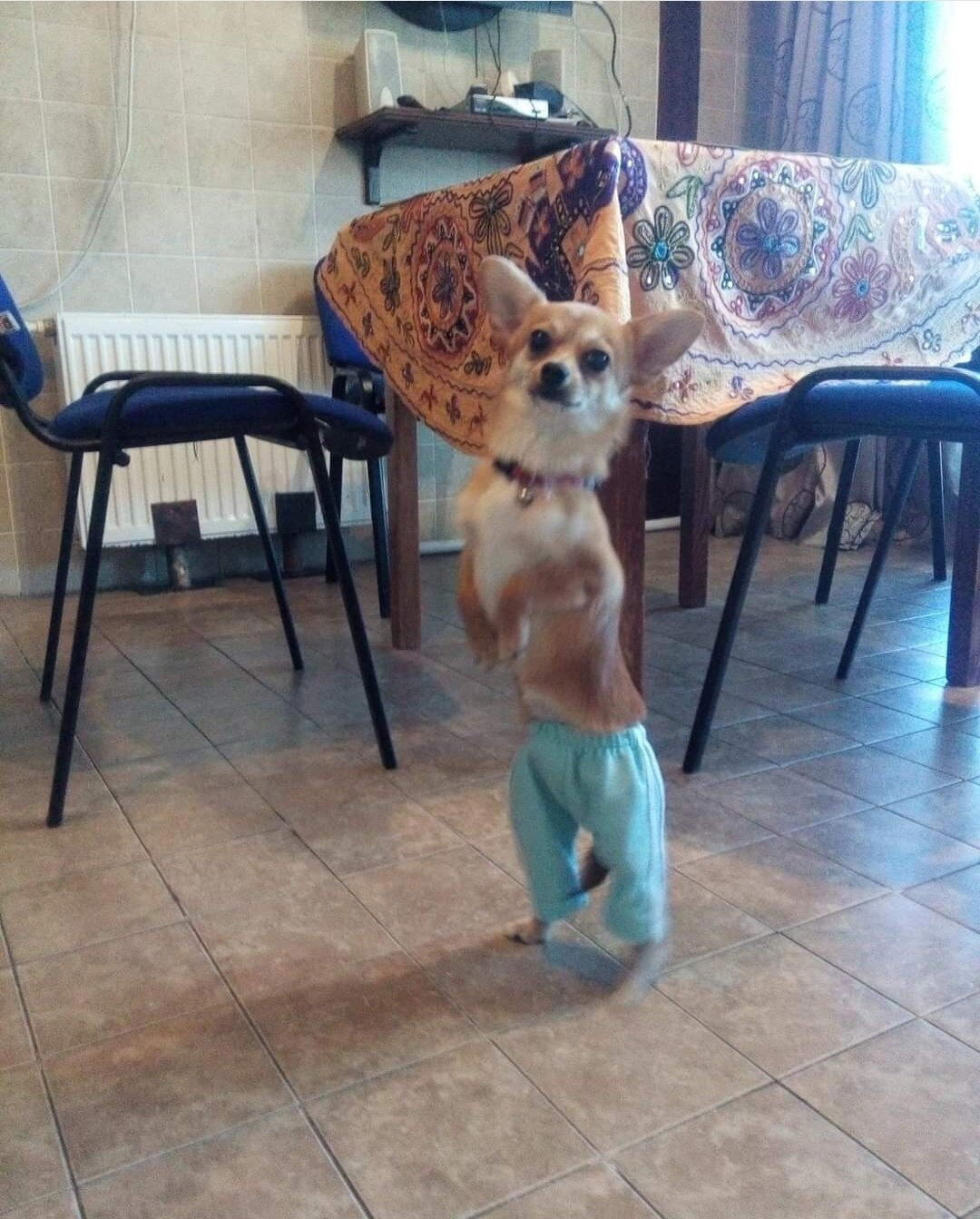 Новый виток эволюции!