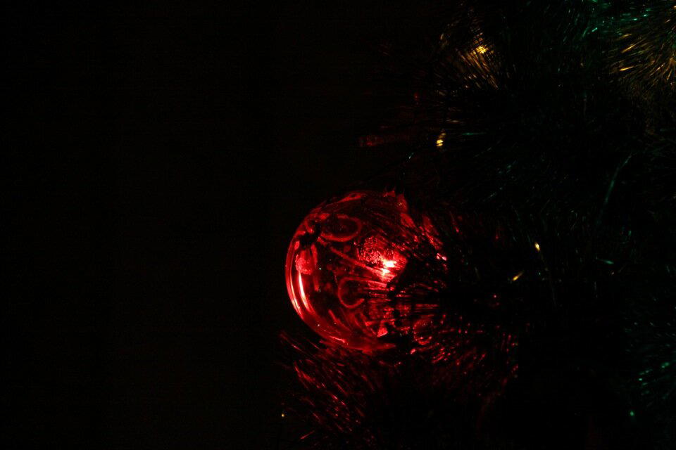 Ещё просто фото / 25 декабря 2011