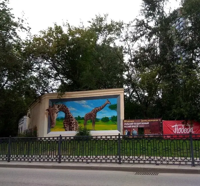 Жирафы!
