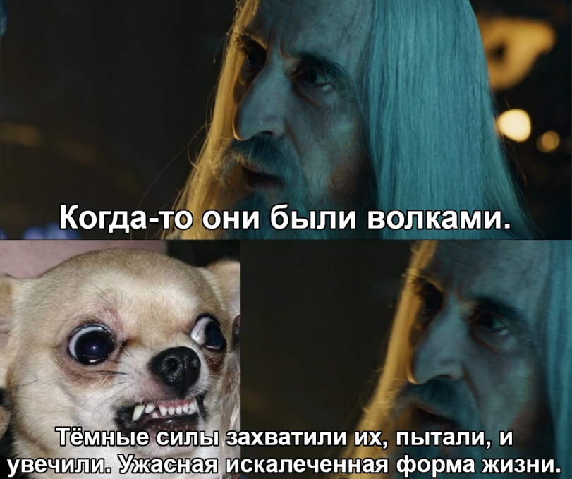 Форма жизни