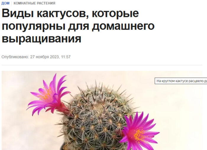 Копировать! копировать! Вставить?