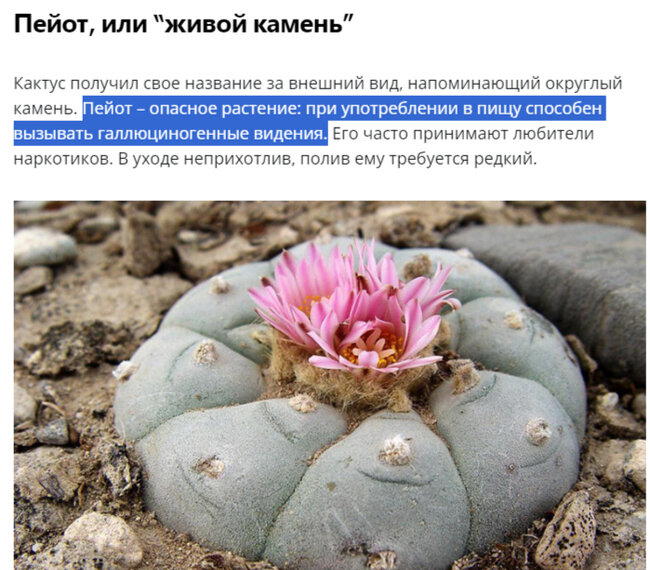 Копировать! копировать! Вставить?