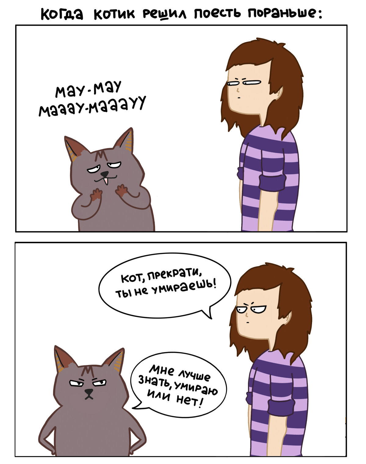 Обманки котов