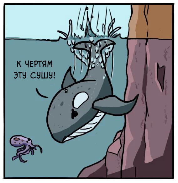 Эволюция
