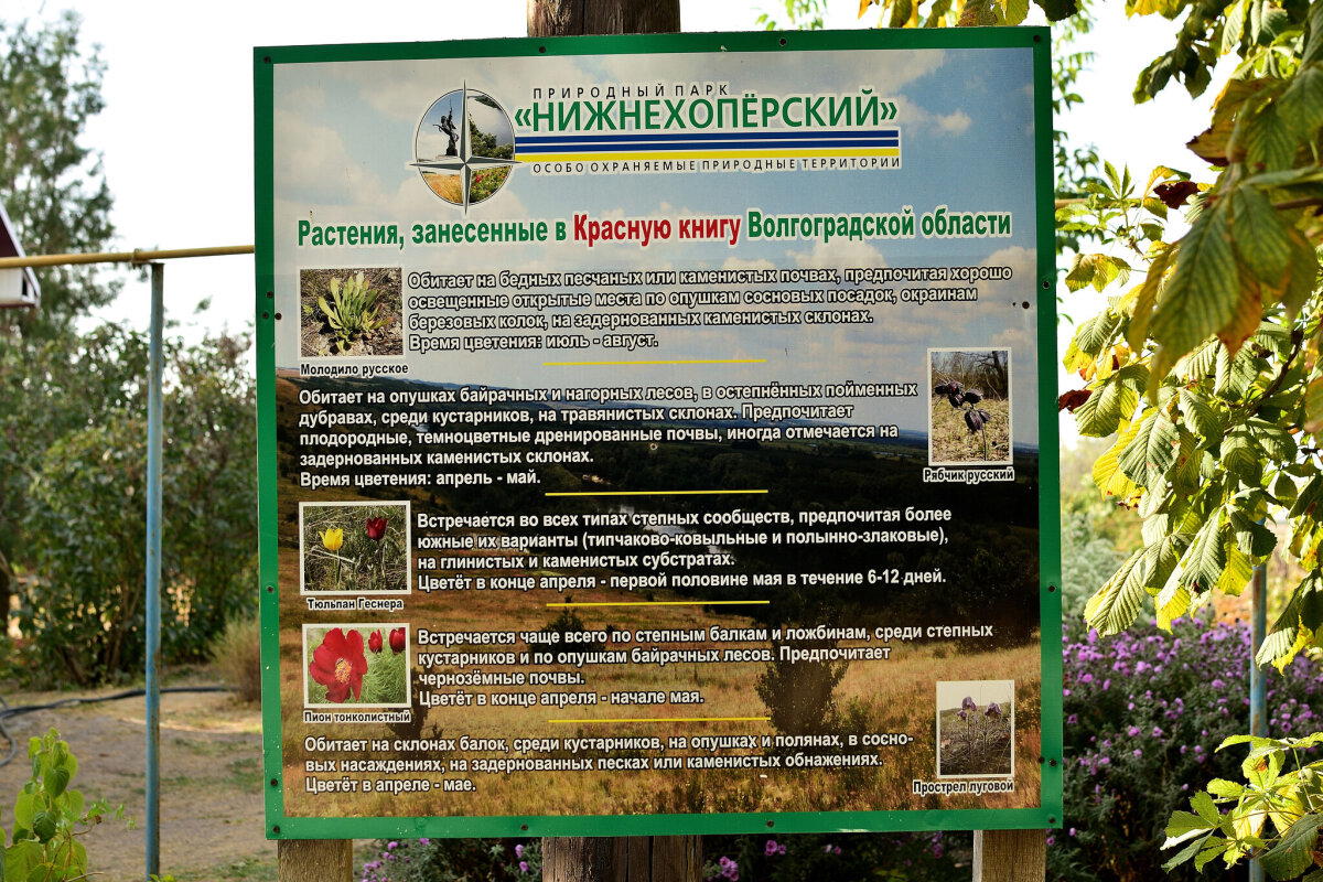 Поездка в природный парк "Нижнехопёрский"
