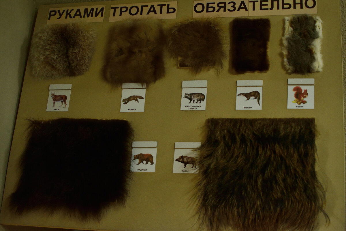 краеведческий музей