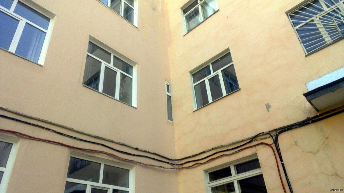 Защем ругаися, насяйника?