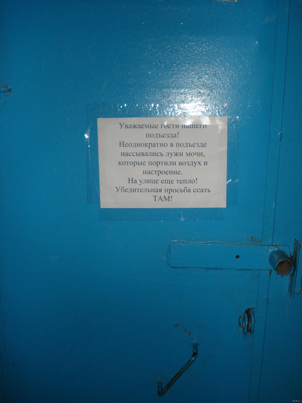 Объявление в подъезде