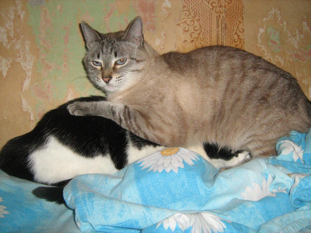 А что это мы тут делаем?