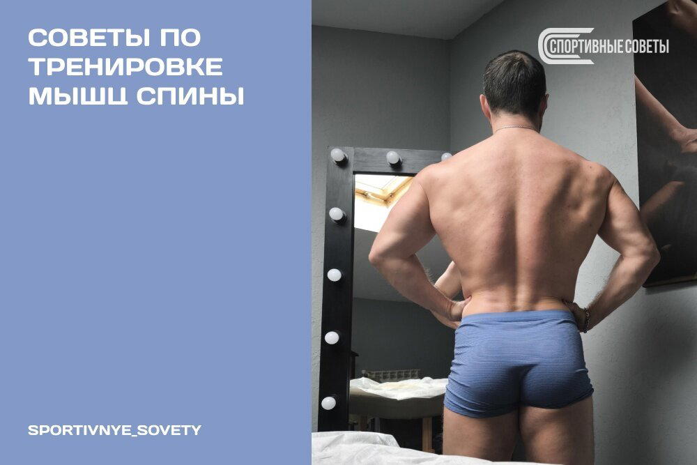 Советы по тренировке мышц спины