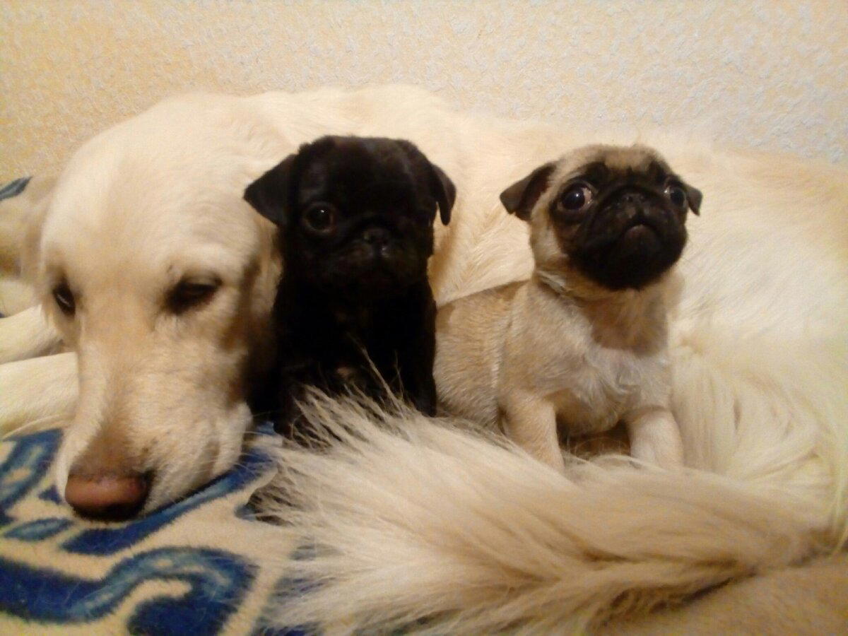 Под охраной