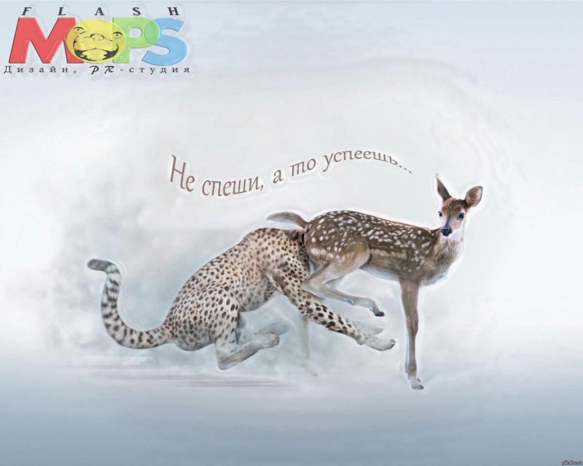 Не спеши...