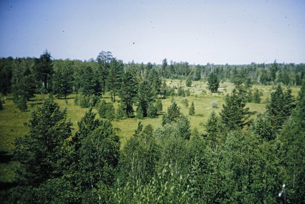 Фото Яндекс картинки