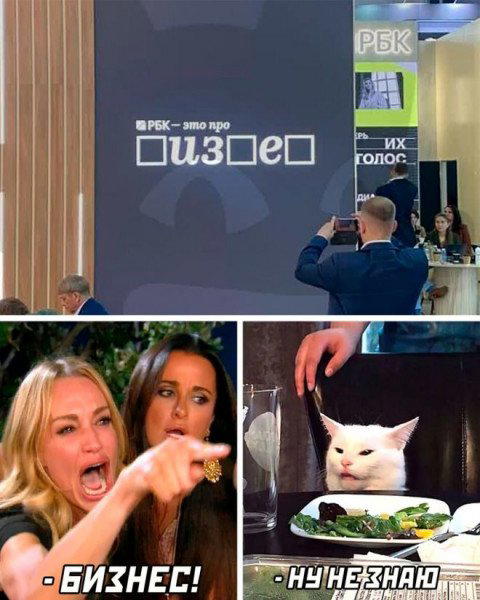 Я - за кота! А вы?