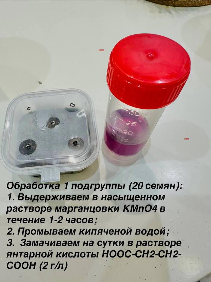 Совместный эксперимент с семенами