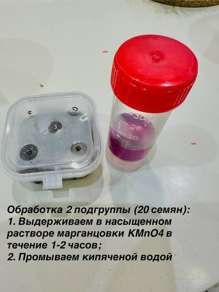Совместный эксперимент с семенами
