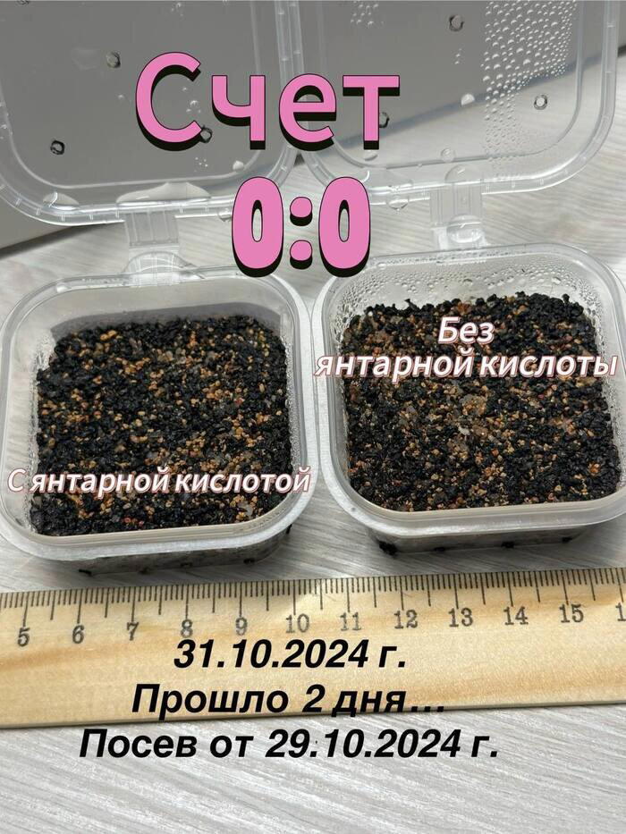 Совместный эксперимент с семенами