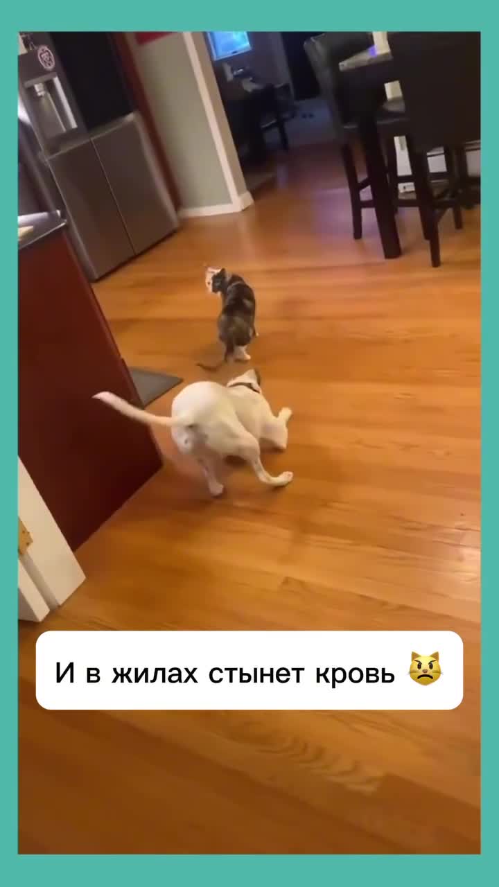 тётеньки на корточках мариупольские рассказы>