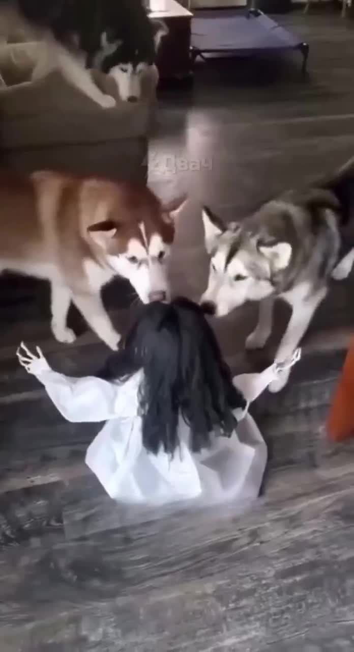 тётеньки на корточках Литературно-художв|ЩВ|^тдыи^[^^^|^